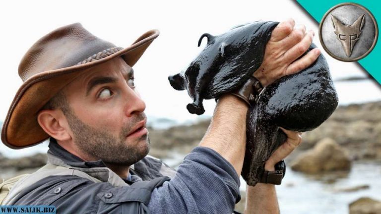 8e775cf854812263272f34a312018339