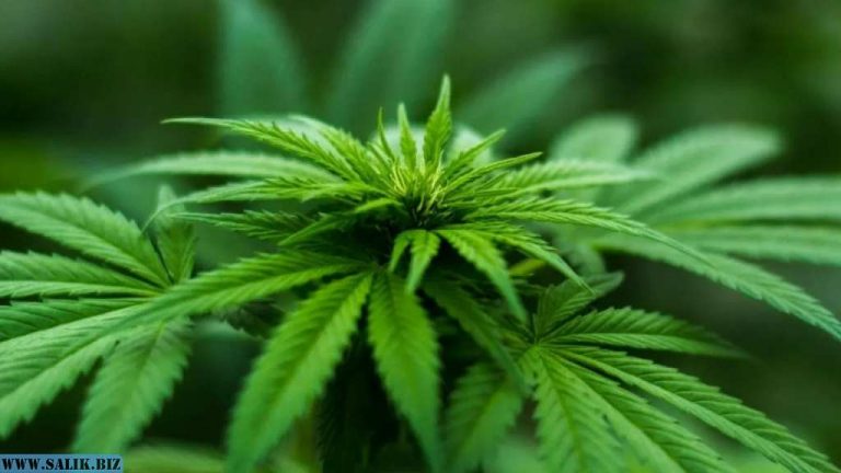 90854da051b7979e27476c6728a0c0c1