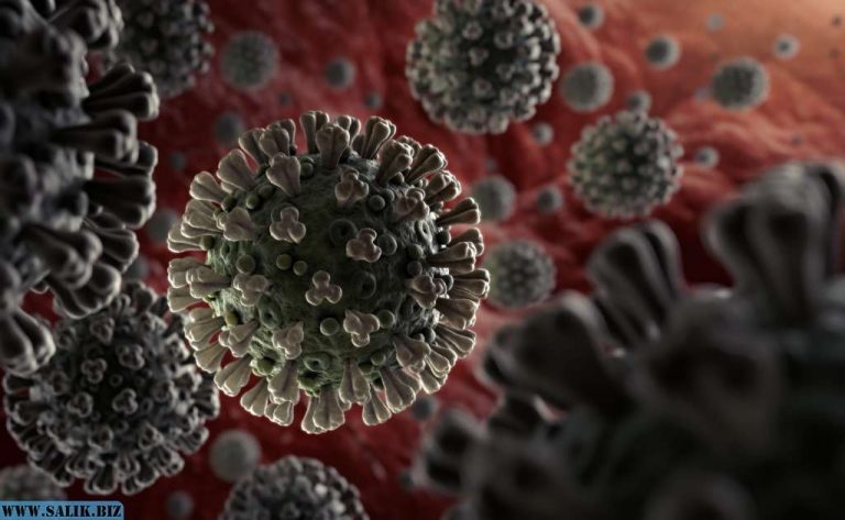 90b6e1869ccd87ff4719281f4fffb2d5