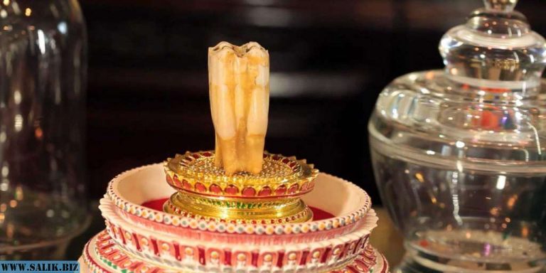 90e88f299f66d7b56d00461a8bc024d3