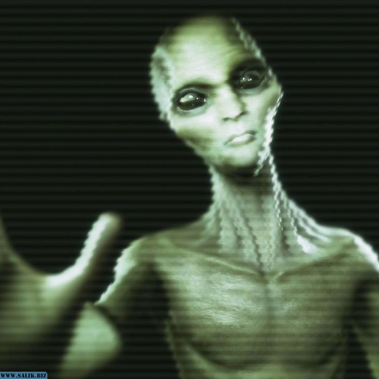 a3843796e5ecf67ebe18f2c5ec269df6