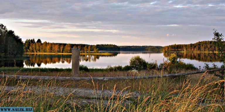 a6a8f3ad618205c7983e10c3436e7d44