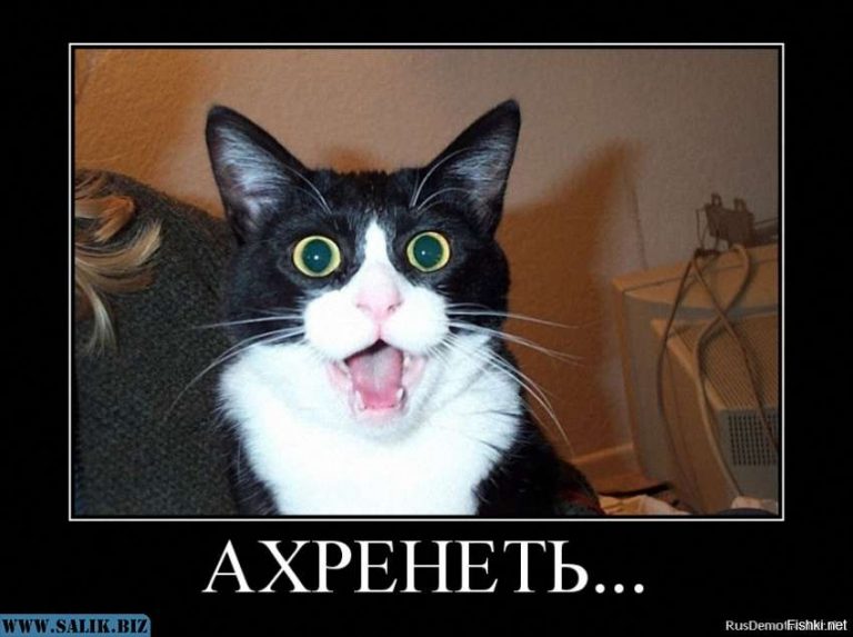 cb1754f1f4560b5fa913fe696721bbc0