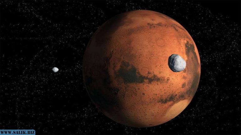 cf9e8c736c667c3bcd4b0253f1e815d6