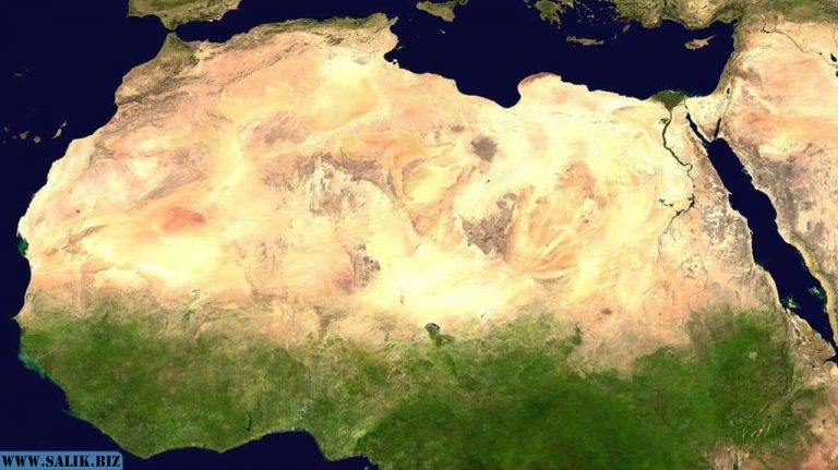 d87b13f2cbdccdb0f25ef8ef1b7a0348