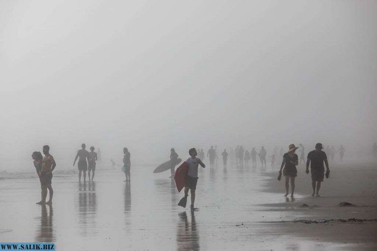 f50ef16470bf5d3c6a8576b5da1decdb