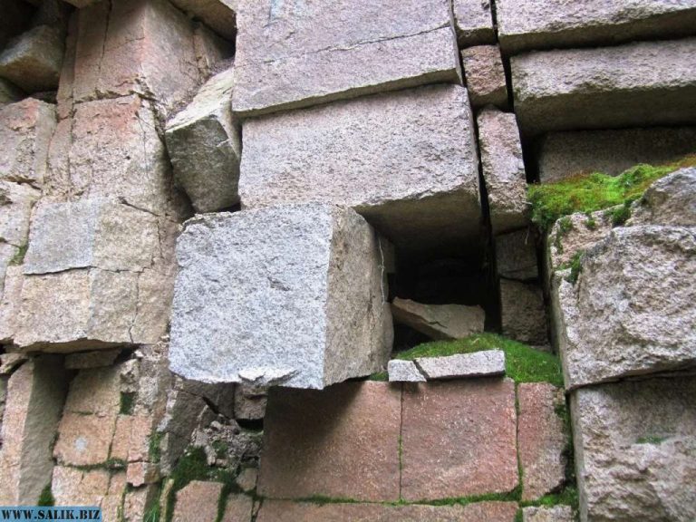 f95076e69deb0e1de173475eaa903949