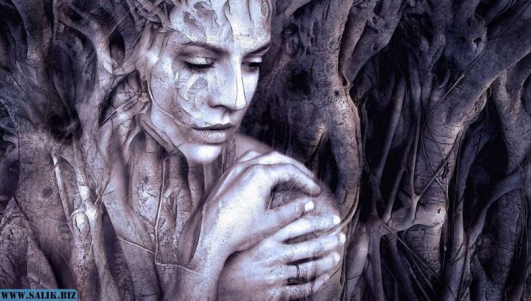 fb5b2905a10100108aed75e0e2f34ff0