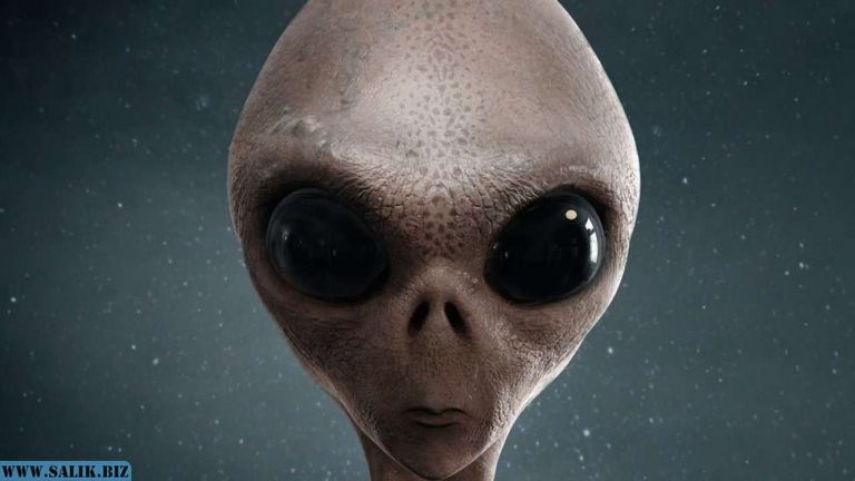 02d04af41189c5637ca21725720d1bb5