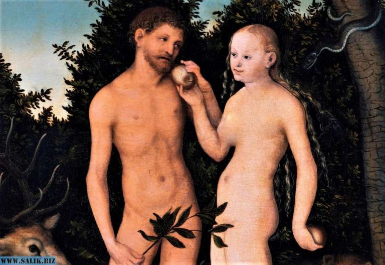 03d136f7617ff94d3641c0de7ff119e6