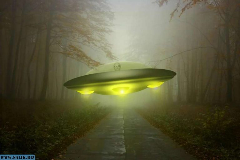 09405b03f806199a373f9d4be5d20183