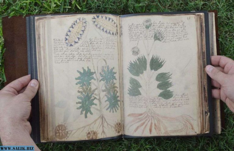 0b5f4f0abde23ecd673f4ef99beb9602