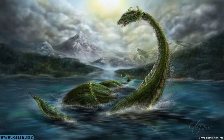 0c81402ac7726b0dc2ed6741261c3b9a