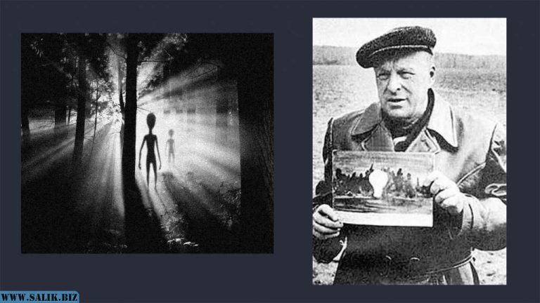 12deb17c488a97bc62a513ab6fc16501