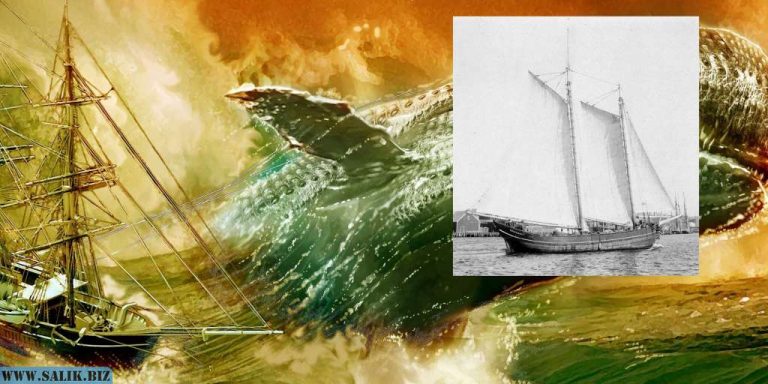 1bca6d5849afb913802e2277c205d972