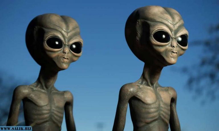 1e776f0441870a6215c7b85f35c831f5