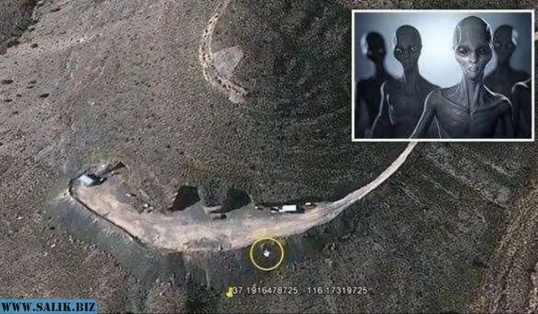 2a4c09e8377171d7ce3396e355db8fa1