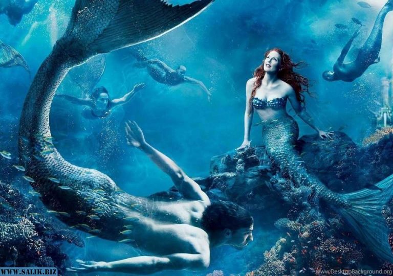 2b4f6a511fe2f4eb88bc7d8f79563b90