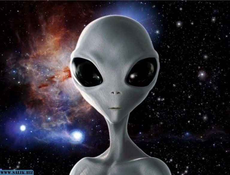 36fcd0dd6fc6ed2c14237d7683743137