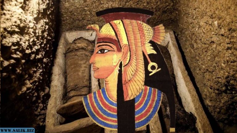 66cf088fedef1eb5557432085d3d5440