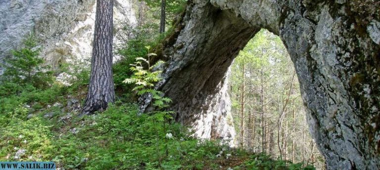 6d1079a6d2f92e039915d8da563e9d1e