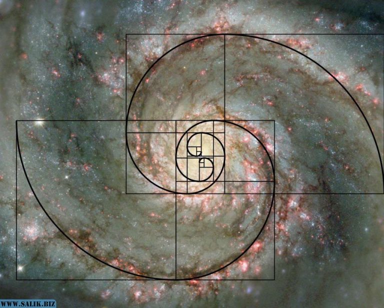 83936df3794114f16adbe316e14373f1