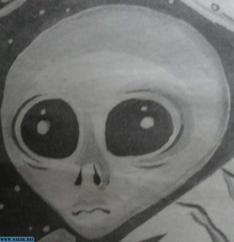 87342003c48617e5e18d5d640894b3e4