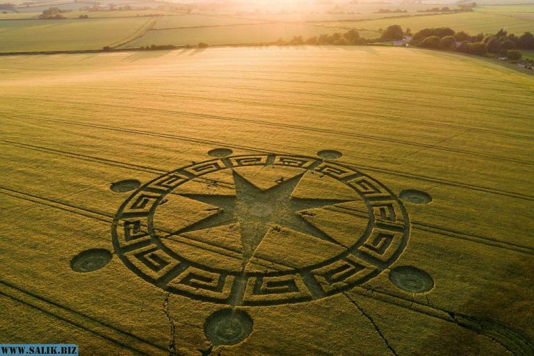 a03347a99b8b8c3a14e2c832c5401c8a