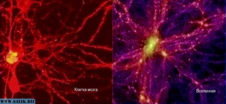 b7de7ba8b1550e905ae638fa74a3e63b