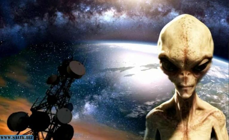 cd104f851a84a0d9b5480e6898b7d88b