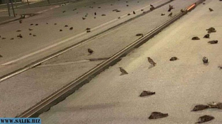 d1c33289b4ab6660f01e346dbd7dd0b5