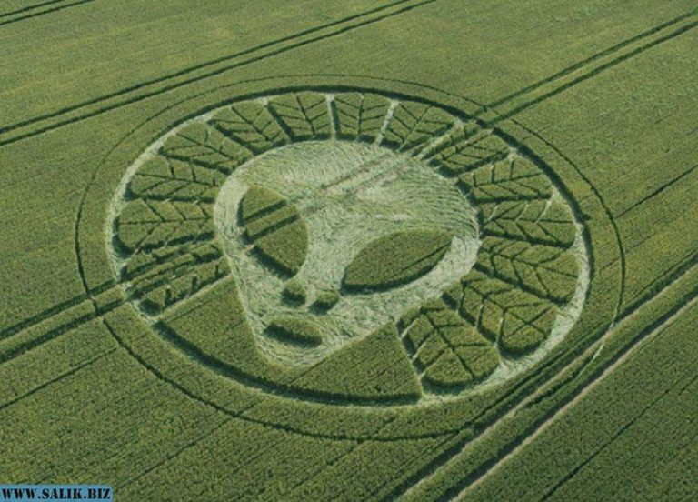 d2798ae57b5f981d1703d90a36438041