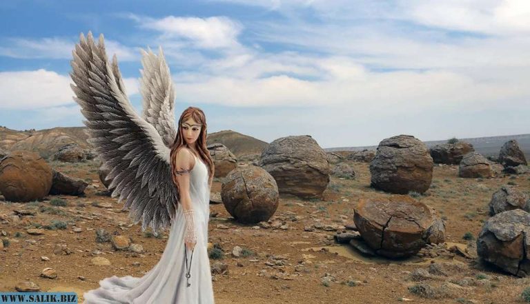 dbad4d1d75c4073cf3c8caf458f80964