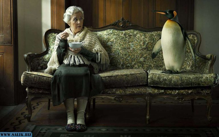 fa0744b75ffaba88fa6addaf0365fb4b