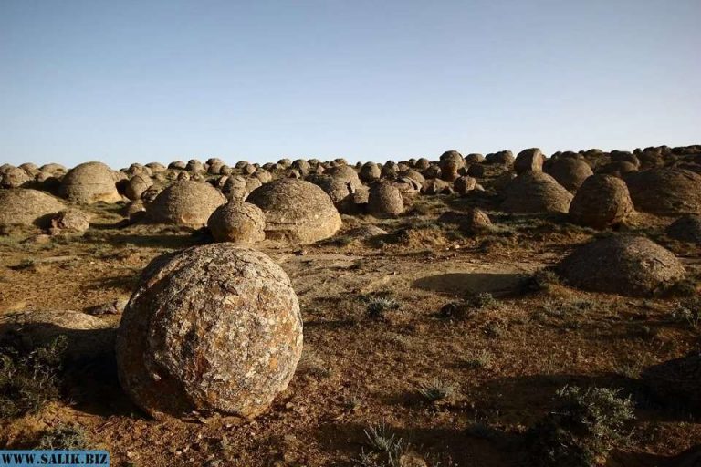 fde2a703180c6df4a3f55aa66f93c396