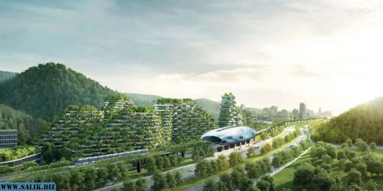 fe1040f6cf8425bbb2de4f68f4cddf11