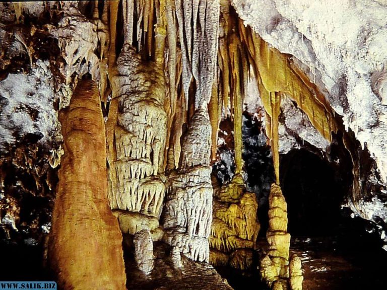 175d396c9d5a4db6811e06401b257ea0