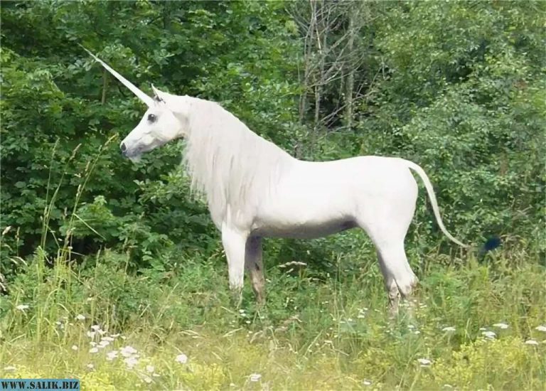 1a986e2fd91fe257f5501b01f9f53276