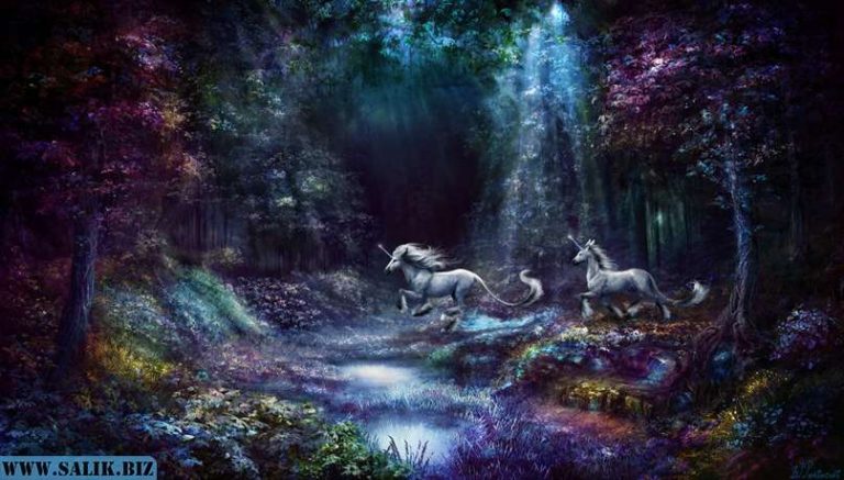 1ec38f0cd64ca6c27ceebe3494213b87