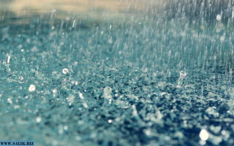 2af43a61d931f987dfcbcbb6387a5ac2