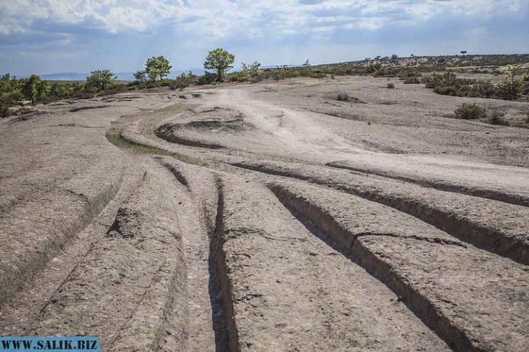 2f697b0970d3c95c9dbe6e69240ab4b4