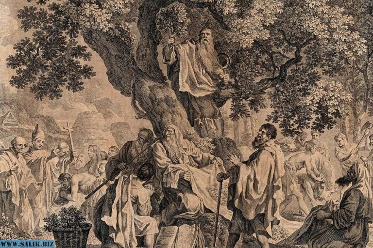 310da2930aae1265eb3d4c54ccb888ca