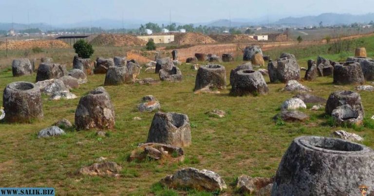 31f22d40e7c615ea39190a1e9c2641ce