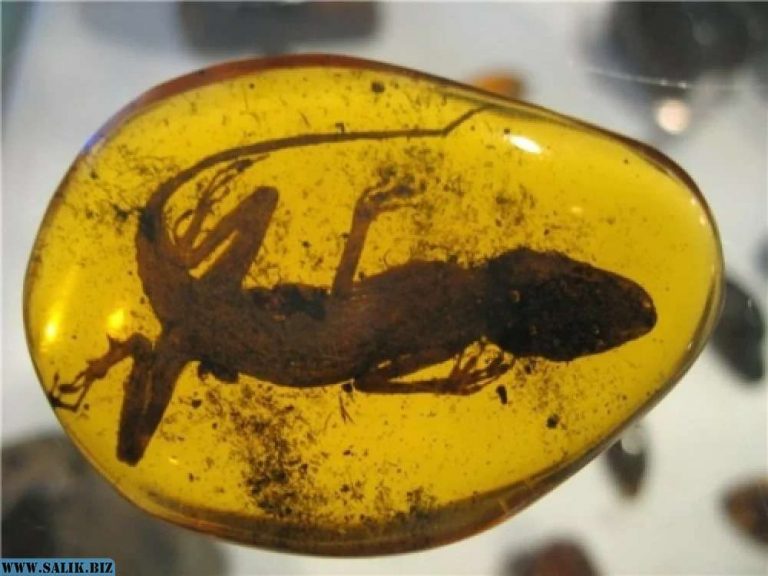 3be5284d5c1e188c375646fb8fff1731