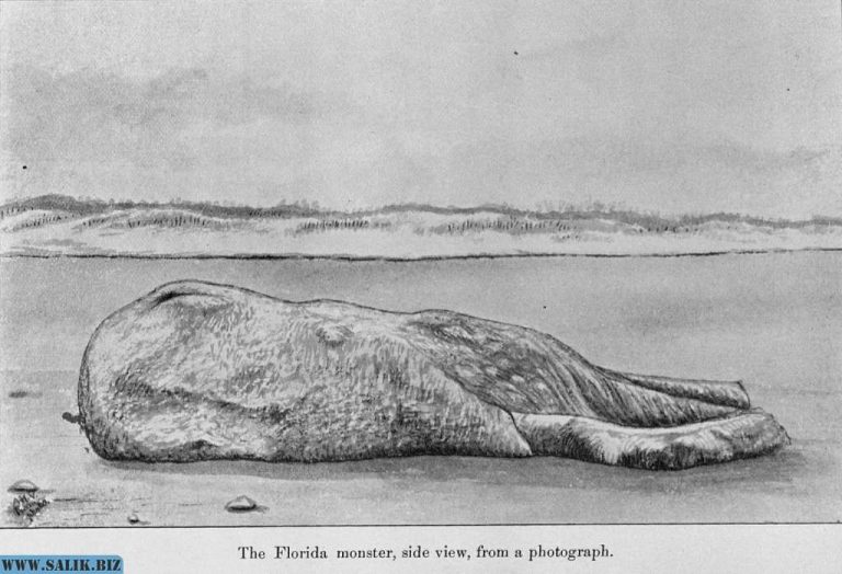 49c7505f652c8c7daca2215ab83853f3