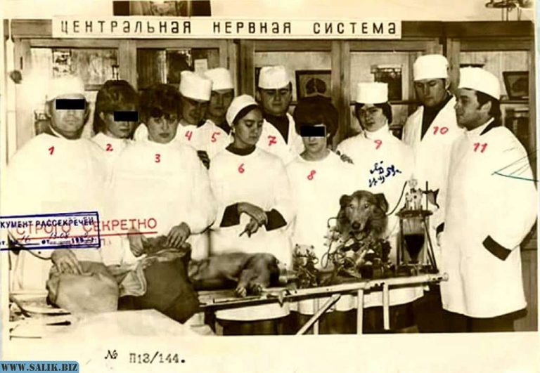 4ff18a37d59c2aa20409c9ec2a828613