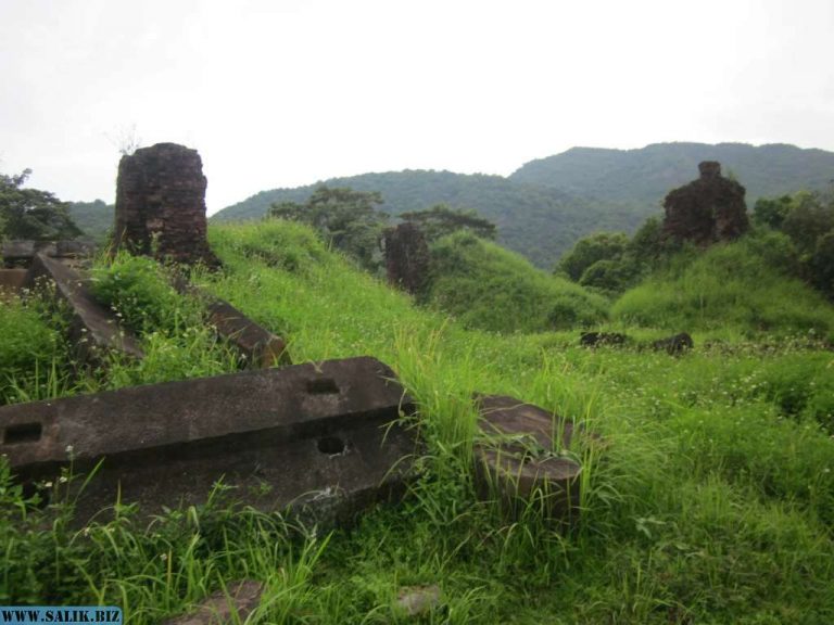 68fab3c756d9ae498ede3696cd4f8fcb