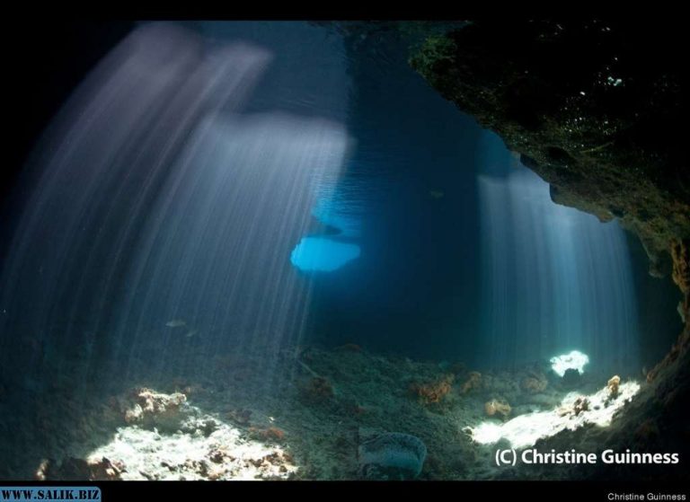 6c0aeb69d4059aa1f7723650c7ba6f8d