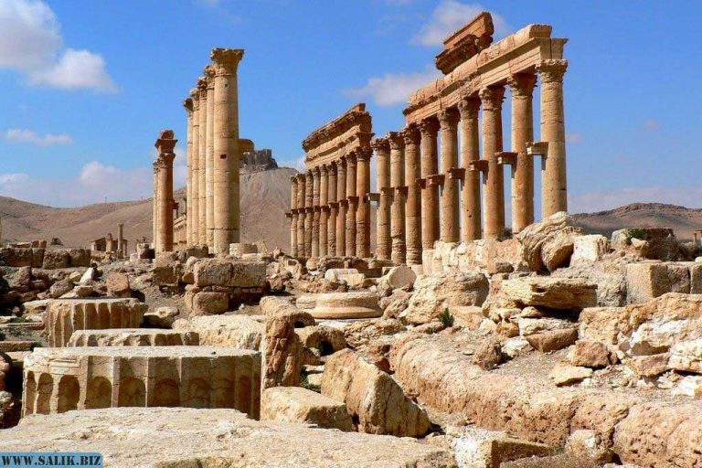 6c2d26ff1507a71ce0c7e24e7f2469a9