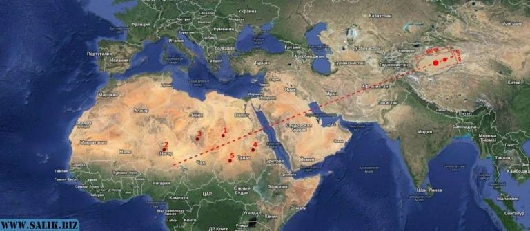 71e5256132e8e8b5f05daaabb9f03fb5